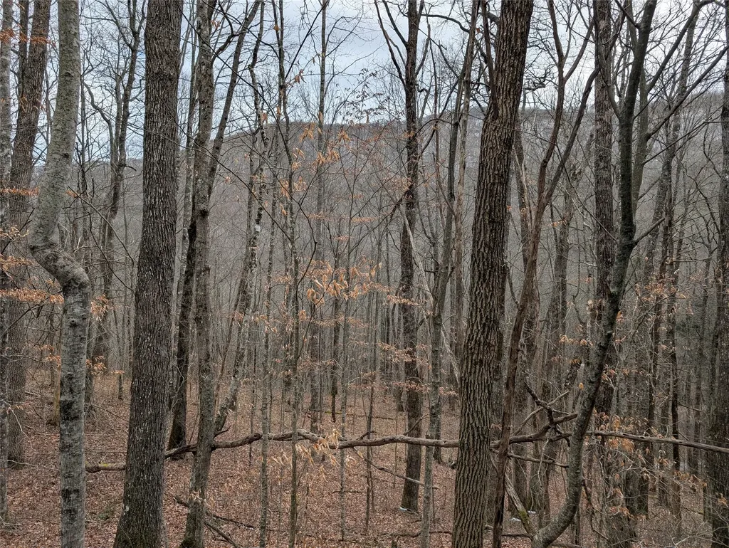 Lot 3 Black Gap Road Franklin NC 28734