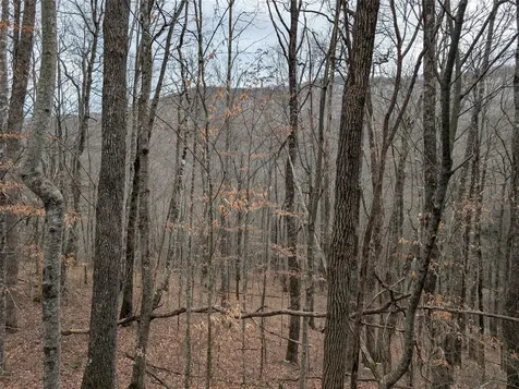 Lot 3 Black Gap Road Franklin NC 28734