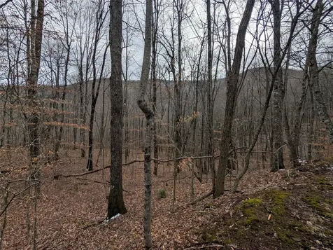 Lot 3 Black Gap Road Franklin NC 28734