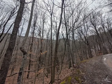 Lot 3 Black Gap Road Franklin NC 28734