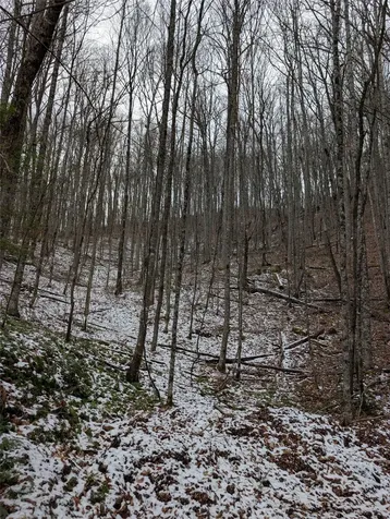 Lot 3 Black Gap Road Franklin NC 28734