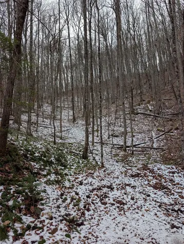 Lot 3 Black Gap Road Franklin NC 28734