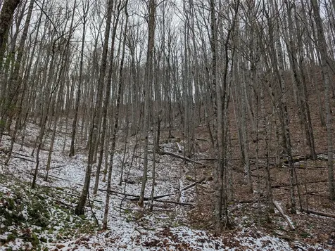 Lot 3 Black Gap Road Franklin NC 28734