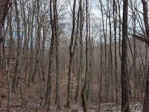 Lot 3 Black Gap Road Franklin NC 28734