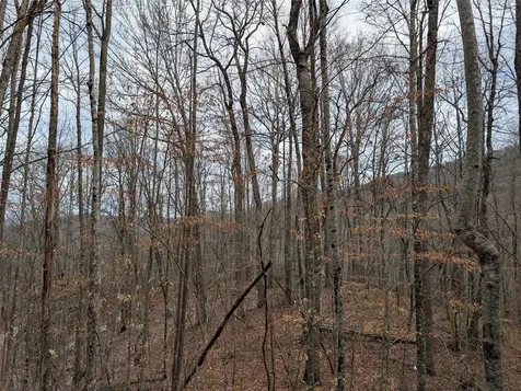 Lot 3 Black Gap Road Franklin NC 28734