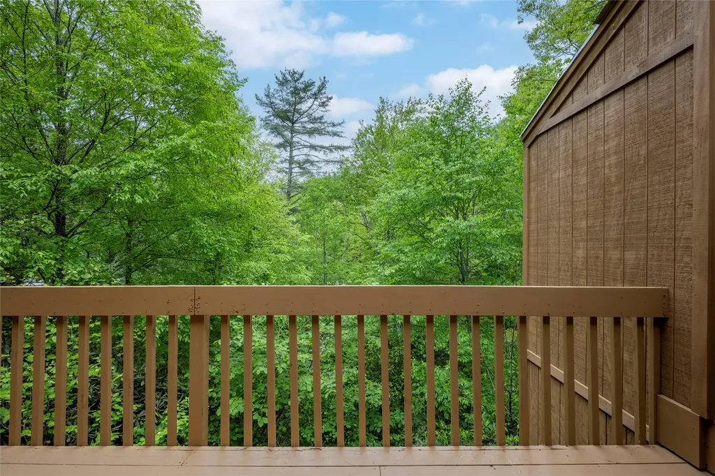 233 Meadow Way Sapphire NC 28774