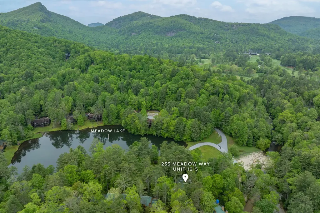 233 Meadow Way Sapphire NC 28774