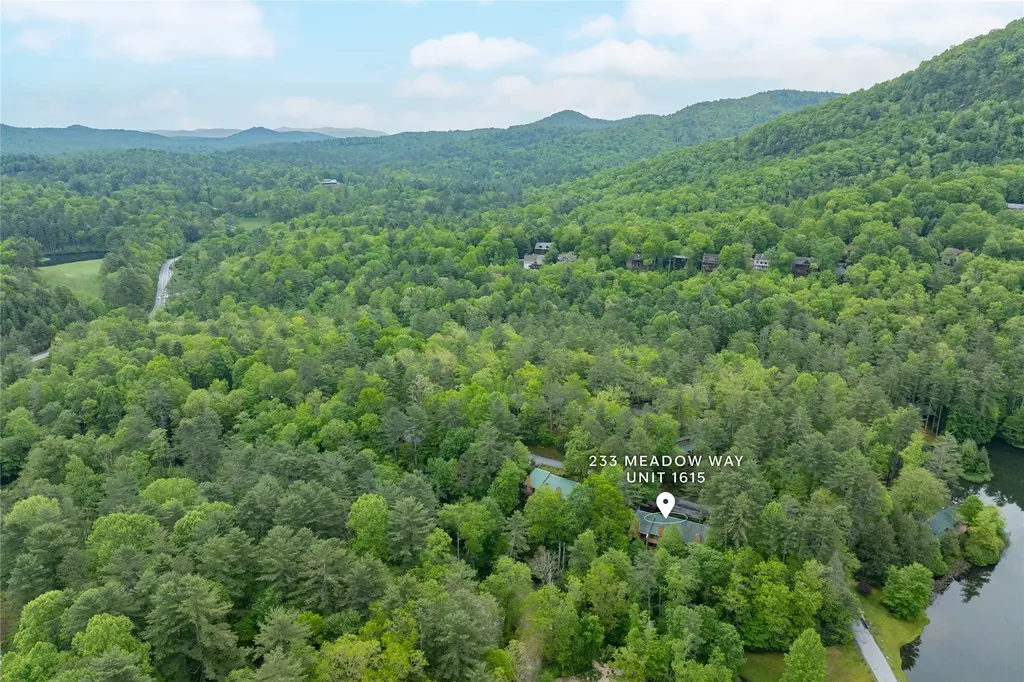 233 Meadow Way Sapphire NC 28774