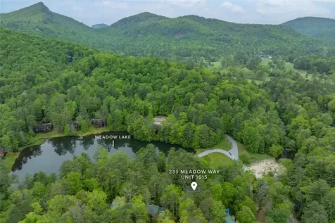 233 Meadow Way Sapphire NC 28774