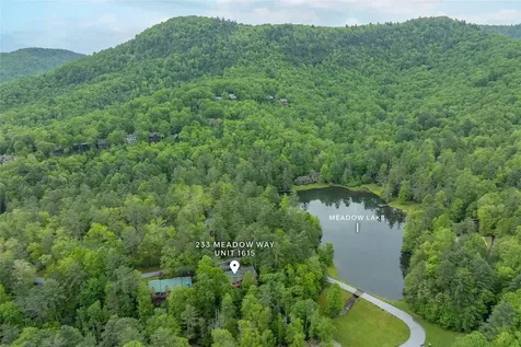 233 Meadow Way Sapphire NC 28774