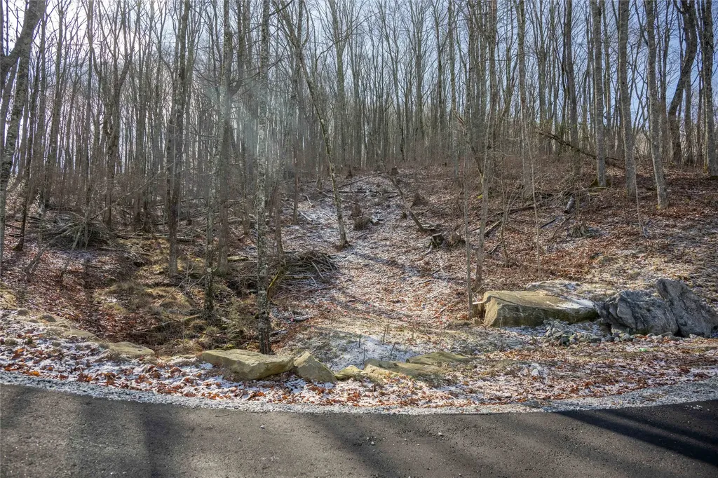 Lot C51 Roaming Road Glenville NC 28736