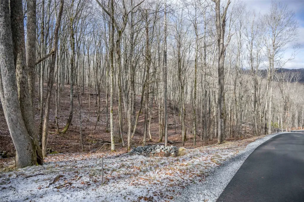 Lot C51 Roaming Road Glenville NC 28736