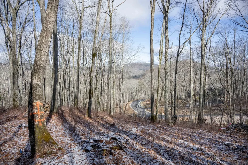 Lot C51 Roaming Road Glenville NC 28736