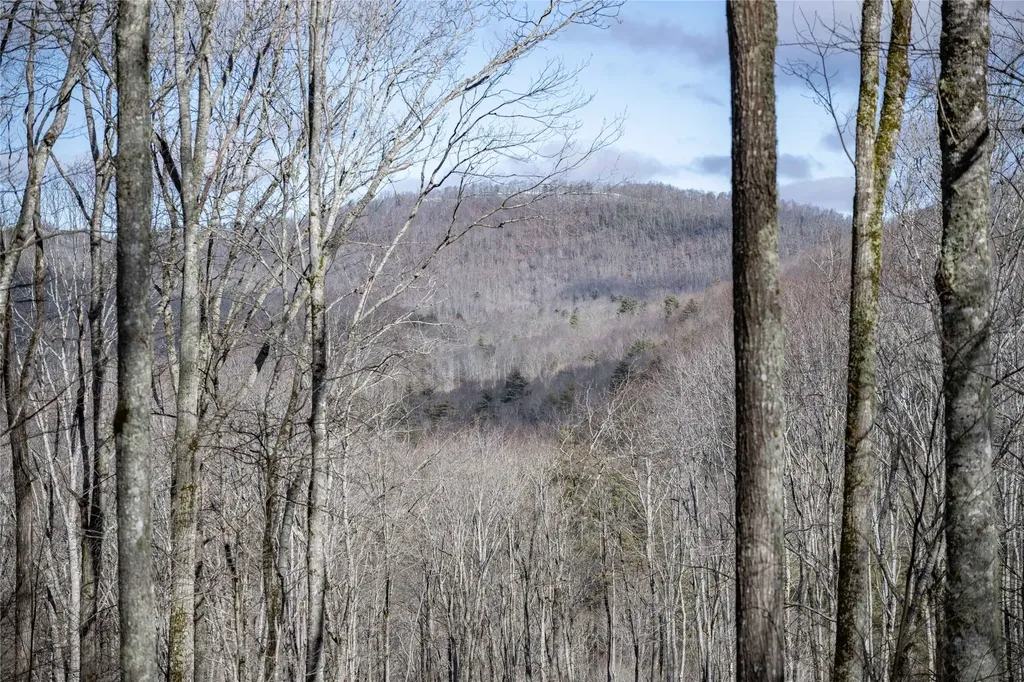 Lot C51 Roaming Road Glenville NC 28736