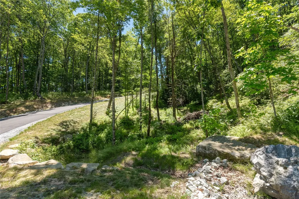 Lot C51 Roaming Road Glenville NC 28736