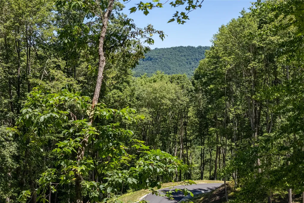 Lot C51 Roaming Road Glenville NC 28736