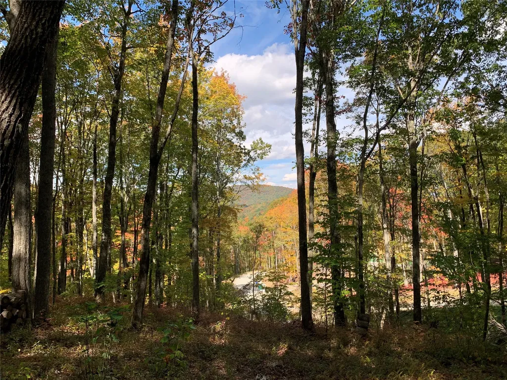 Lot C51 Roaming Road Glenville NC 28736