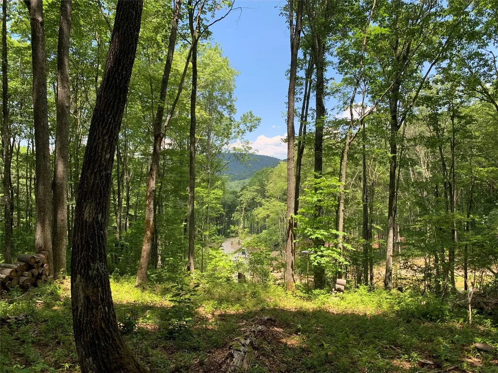 Lot C51 Roaming Road Glenville NC 28736