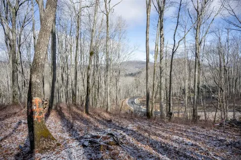 Lot C51 Roaming Road Glenville NC 28736