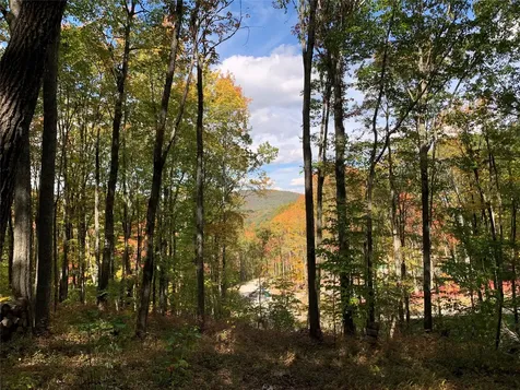 Lot C51 Roaming Road Glenville NC 28736