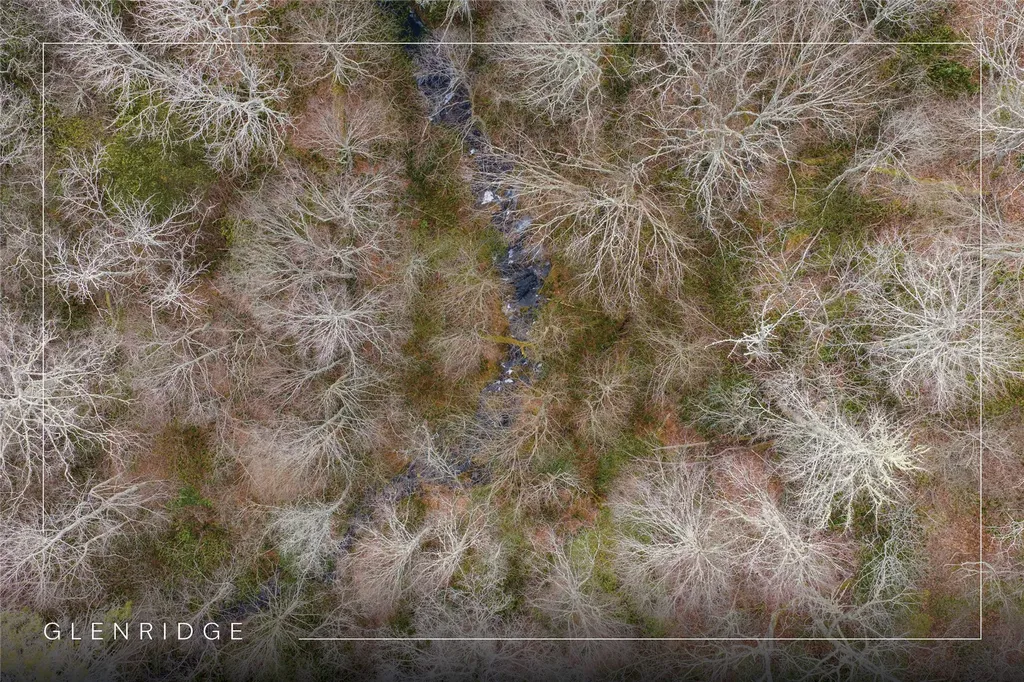 Lot 11 Glenridge Road Glenville NC 28736