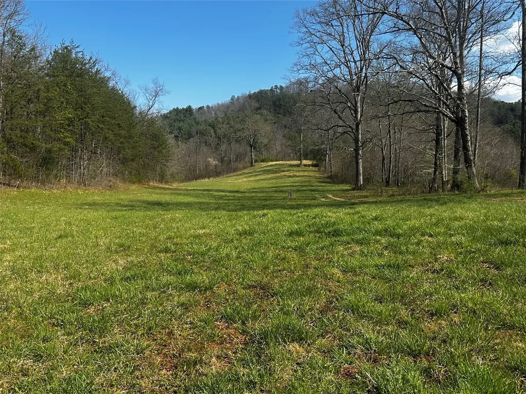 0 Georgia Road Otto NC 28763