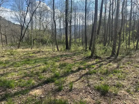 0 Georgia Road Otto NC 28763