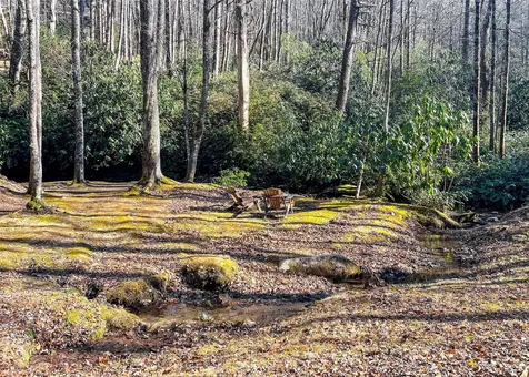 2374 West Christy Trail Sapphire NC 28774