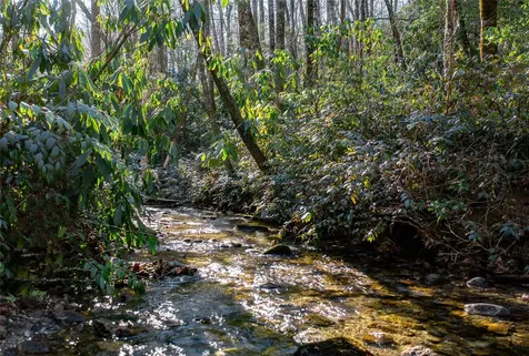 2374 West Christy Trail Sapphire NC 28774