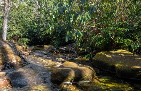 2374 West Christy Trail Sapphire NC 28774