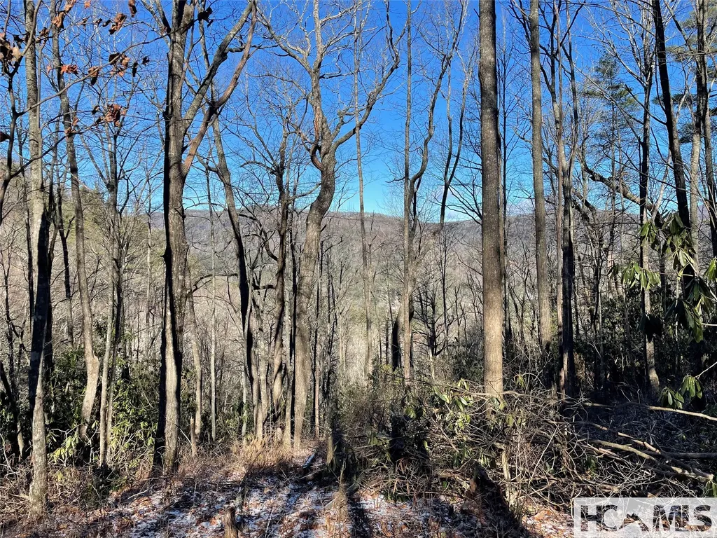 36 Rock Mountain Road Sapphire NC 28774