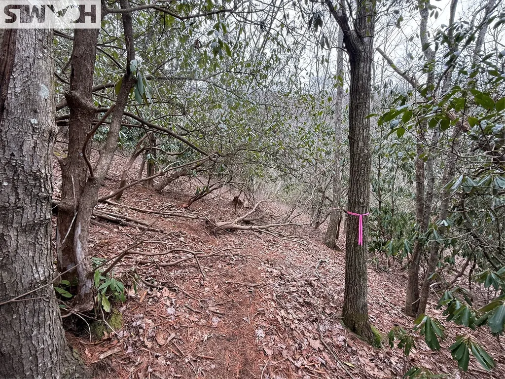 36 Rock Mountain Road Sapphire NC 28774