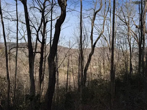 36 Rock Mountain Road Sapphire NC 28774