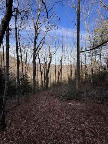 36 Rock Mountain Road Sapphire NC 28774