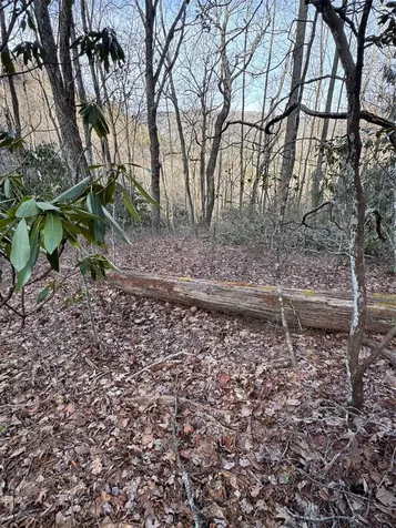 36 Rock Mountain Road Sapphire NC 28774