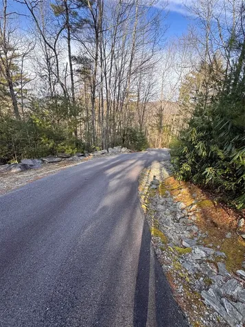 36 Rock Mountain Road Sapphire NC 28774