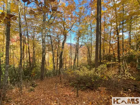 36 Rock Mountain Road Sapphire NC 28774