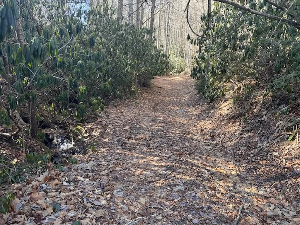 000 Highway 107 N Glenville NC 28736