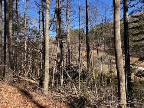 000 Highway 107 N Glenville NC 28736