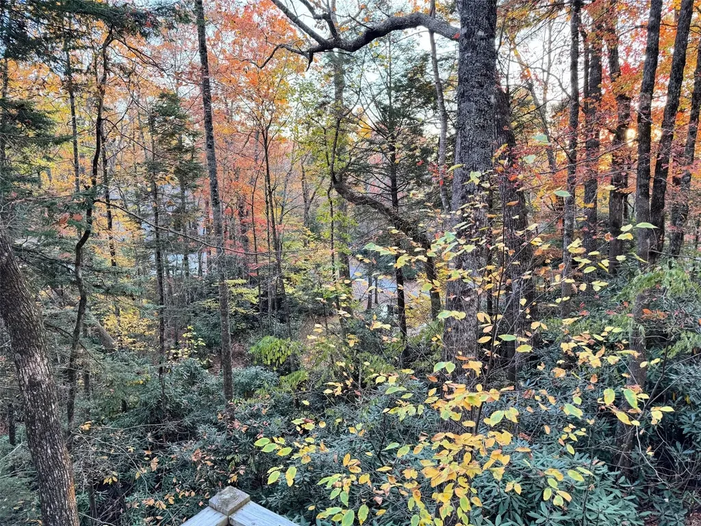 28 E Forest Way Highlands NC 28741