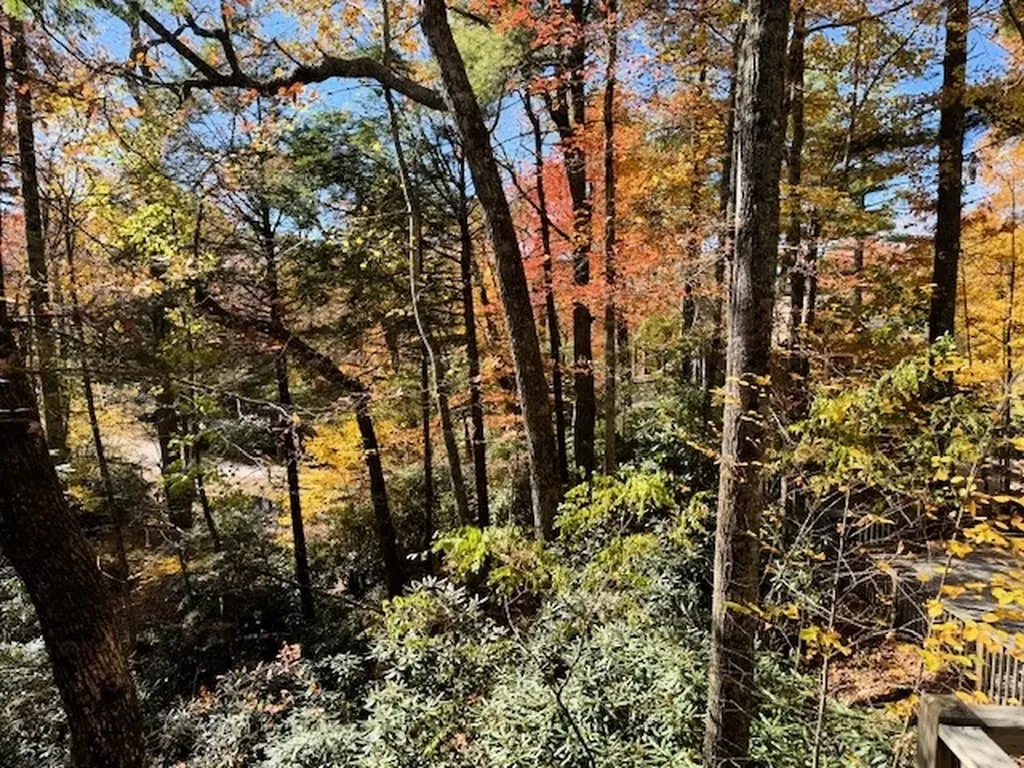 28 E Forest Way Highlands NC 28741