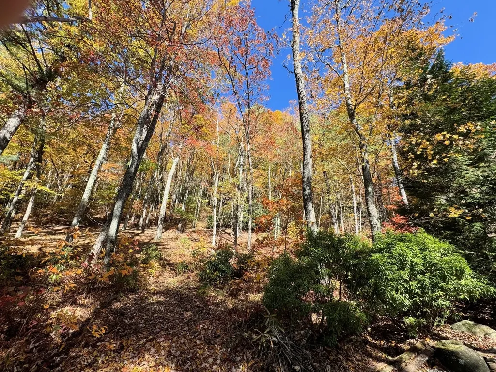 28 E Forest Way Highlands NC 28741