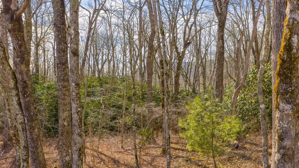 Tbd Garden Trail Highlands NC 28741