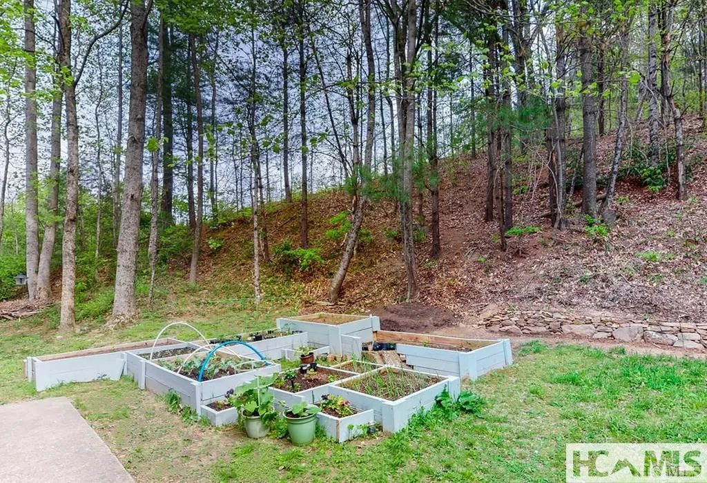 7 Grefe Road Scaly Mountain NC 28775