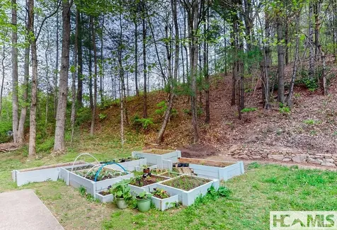 7 Grefe Road Scaly Mountain NC 28775