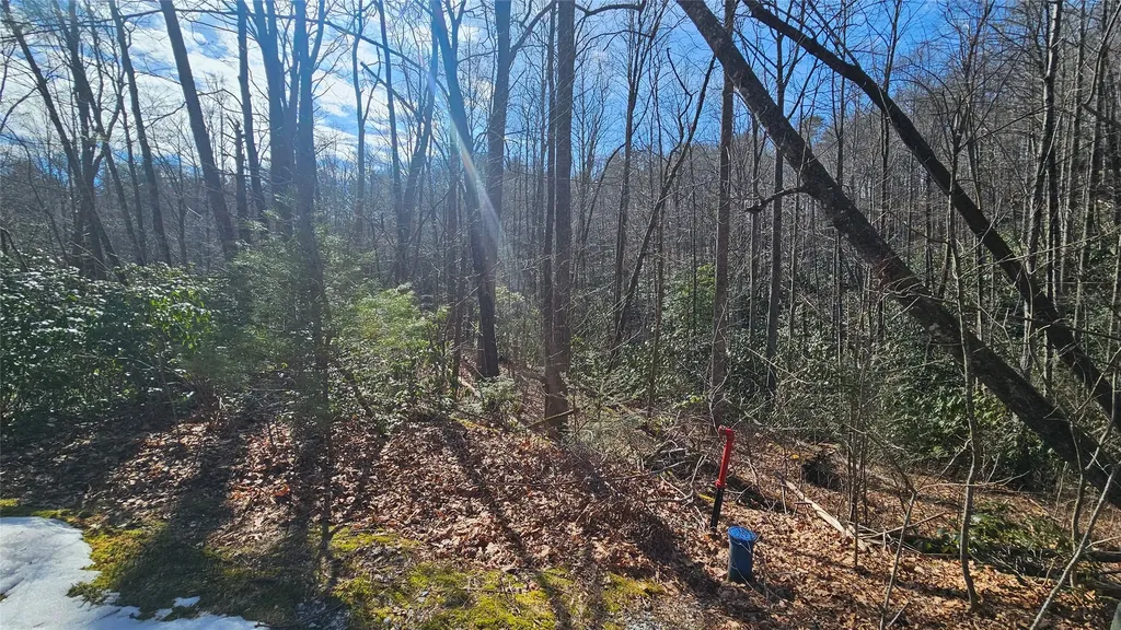 Lot 18 Sourwood Court Sapphire NC 28774