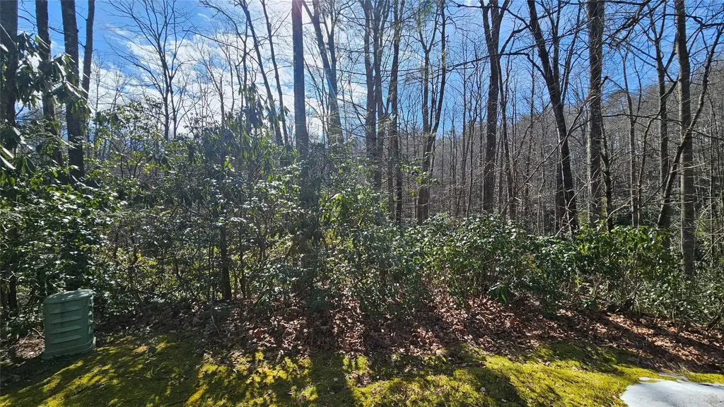 Lot 18 Sourwood Court Sapphire NC 28774