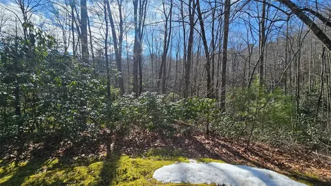 Lot 18 Sourwood Court Sapphire NC 28774