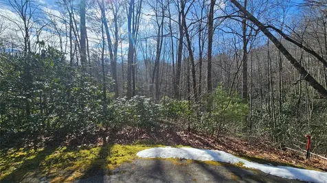 Lot 18 Sourwood Court Sapphire NC 28774