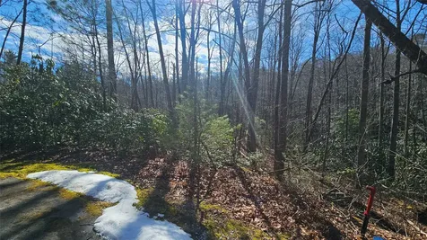 Lot 18 Sourwood Court Sapphire NC 28774